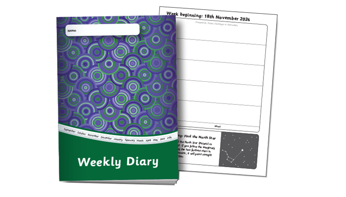 Wellbeing Diary
